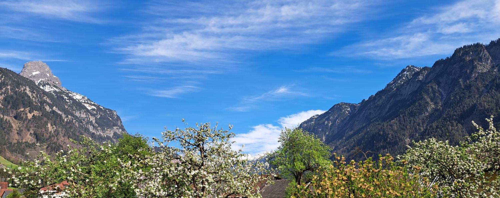 Baers Mountain Stay Ausserbraz Innerbraz Eksteriør bilde