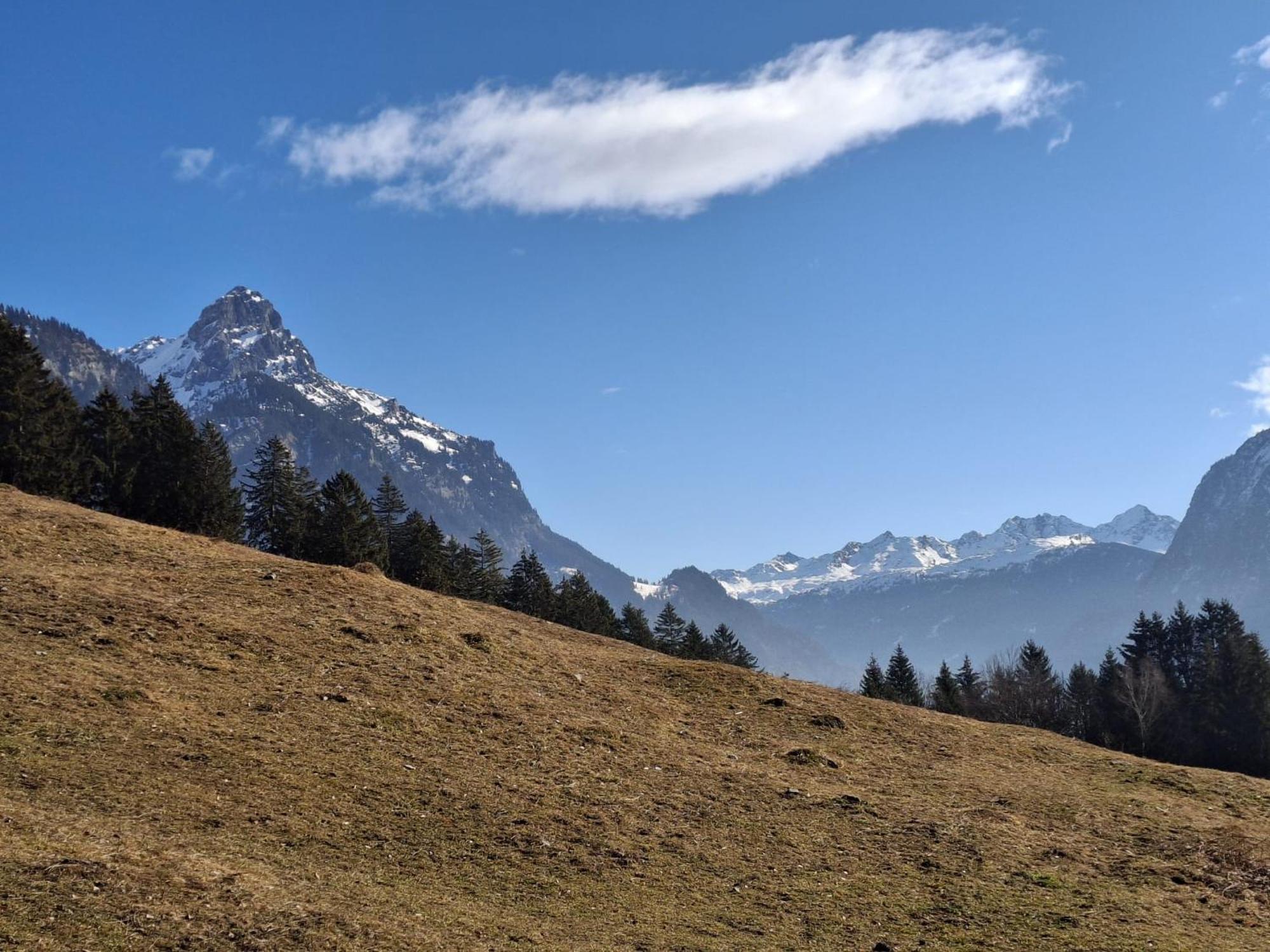 Baers Mountain Stay Ausserbraz Innerbraz Eksteriør bilde